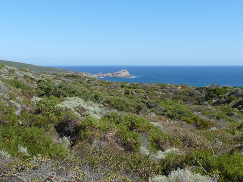 Cap Naturaliste